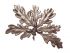 Feuille de d�coration FRI3332608