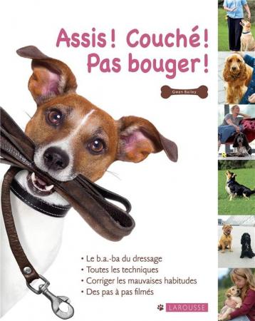 Assis! Couché! Pas bougé!