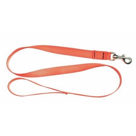 Laisse 1,20 m sangle orange fluo pour chien - COUNTRY