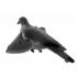 Appelant pigeon ailes tournantes 19292