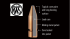 Boite de 20 cartouches RWS KS calibre 7 mm RM 162 gr / 10,5 g 13988
