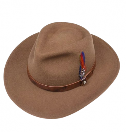 Chapeau STETSON  Western laine marron