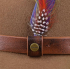 Chapeau STETSON  Western laine marron 38666