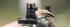 Hausse flip up MAGPUL MBUS 3 38948