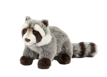 Peluche Raton Laveur 23cm