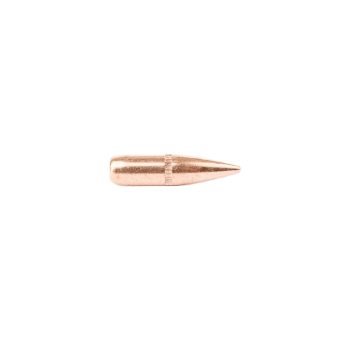 Sachet de 500 ogives CAMPRO .22 (.224) FMJ 62gr / 4g