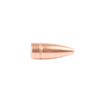 Sachet de 500 ogives CAMPRO 30 (.311) FCP 123gr / 7.97g