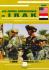 Livre les armes Américaines en Irak 45226