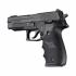 Poignée HOGUE pour SIG SAUER P226 38058