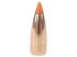 250 ogives cal. 22 Ballistic Tip Varmint 40 gr / 2,60 g 1862