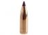 100 ogives Nosler Ballistic Tip Varmint 6 mm (.243) 80 gr / 5,20 g 2651
