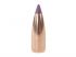 100 ogives Nosler Ballistic Tip Varmint calibre 6 mm (.264) 55 gr / 3.56 g 2652