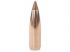 50 ogives Nosler Ballistic TIP calibre 6.5 mm (.264) 120 gr / 7,8 g 2663