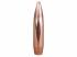 250 ogives Nosler Custom Compétition calibre 6.5 (.264) 140 gr / 9,10 g Hollow Point Boat Tail 5383