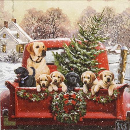 Serviettes en papier AMBIENTE Famille Labrador 