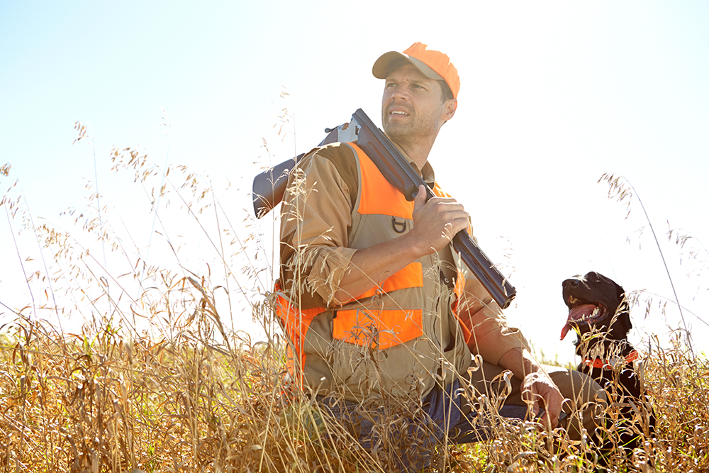 Chasseur accompagné de son chien dans un champ, équipé d’un gilet orange et d’un fusil.