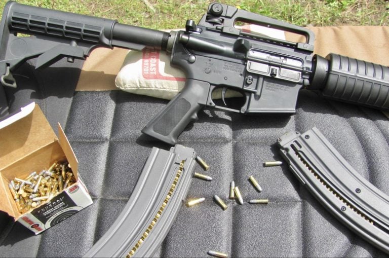 Carabine AR-15 calibre 22 LR avec chargeurs et munitions .22 Long Rifle