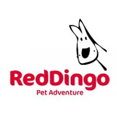 RED DINGO