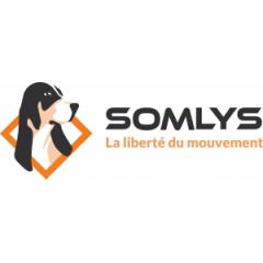 Logo SOMLYS